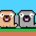 Friends Pug 3 friends pug 1