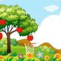 Hoops & Fruits 5 hoops amp fruits
