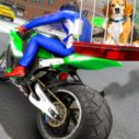Motorcycle Pet Delivery 4 motorcycle pet delivery