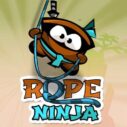Rope Ninja Game 3 rope ninja game